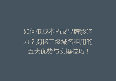 如何低成本拓展品牌影响力？揭秘二级域名租用的五大优势与实操技巧！