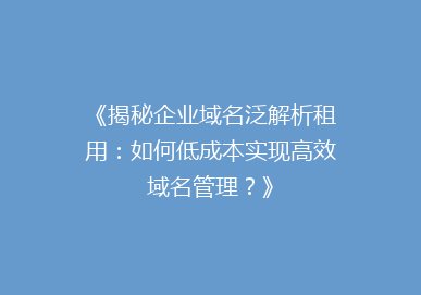 《揭秘企业域名泛解析租用：如何低成本实现高效域名管理？》