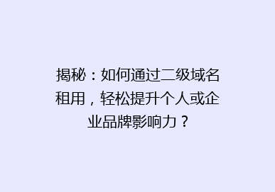 揭秘：如何通过二级域名租用，轻松提升个人或企业品牌影响力？