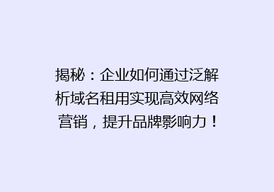 揭秘：企业如何通过泛解析域名租用实现高效网络营销，提升品牌影响力！