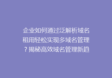 企业如何通过泛解析域名租用轻松实现多域名管理？揭秘高效域名管理新趋势！
