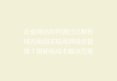 企业网站如何通过泛解析域名租用实现高效域名管理？揭秘低成本解决方案！