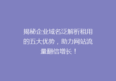 揭秘企业域名泛解析租用的五大优势，助力网站流量翻倍增长！