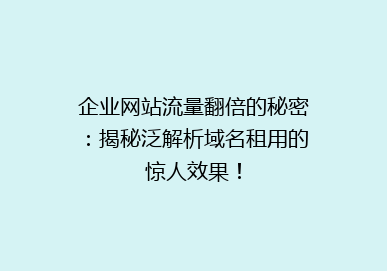 企业网站流量翻倍的秘密：揭秘泛解析域名租用的惊人效果！