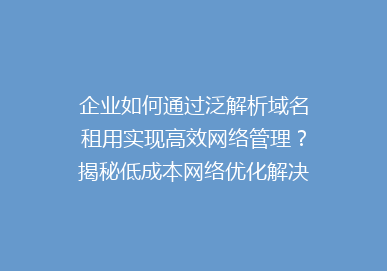 企业如何通过泛解析域名租用实现高效网络管理？揭秘低成本网络优化解决方案！