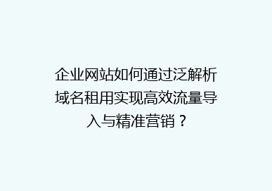 企业网站如何通过泛解析域名租用实现高效流量导入与精准营销？