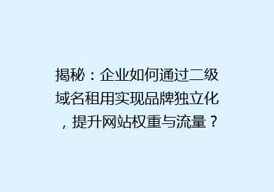 揭秘：企业如何通过二级域名租用实现品牌独立化，提升网站权重与流量？