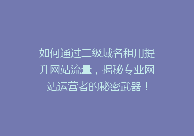如何通过二级域名租用提升网站流量，揭秘专业网站运营者的秘密武器！