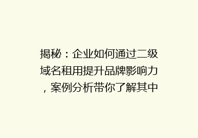 揭秘：企业如何通过二级域名租用提升品牌影响力，案例分析带你了解其中的奥秘！