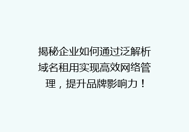 揭秘企业如何通过泛解析域名租用实现高效网络管理，提升品牌影响力！