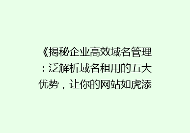 《揭秘企业高效域名管理：泛解析域名租用的五大优势，让你的网站如虎添翼！》