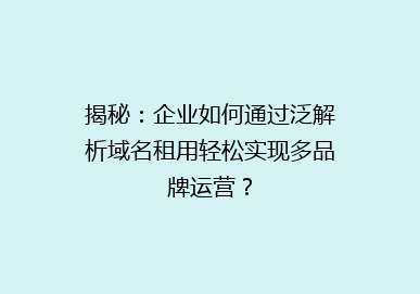揭秘：企业如何通过泛解析域名租用轻松实现多品牌运营？