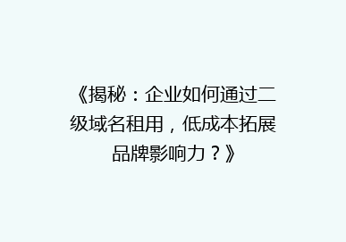 《揭秘：企业如何通过二级域名租用，低成本拓展品牌影响力？》