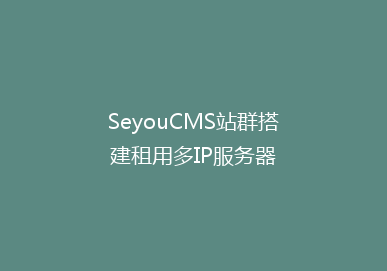 SeyouCMS站群搭建租用多IP服务器