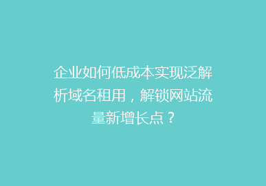 企业如何低成本实现泛解析域名租用，解锁网站流量新增长点？