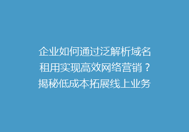 企业如何通过泛解析域名租用实现高效网络营销？揭秘低成本拓展线上业务的新策略！