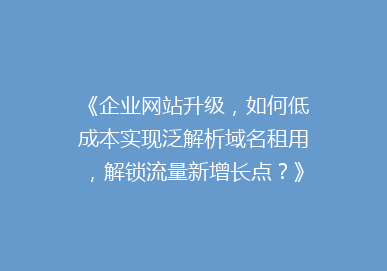 《企业网站升级，如何低成本实现泛解析域名租用，解锁流量新增长点？》
