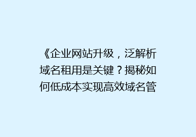 《企业网站升级，泛解析域名租用是关键？揭秘如何低成本实现高效域名管理》