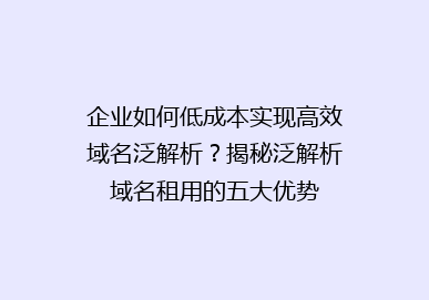 企业如何低成本实现高效域名泛解析？揭秘泛解析域名租用的五大优势
