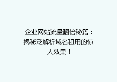 企业网站流量翻倍秘籍：揭秘泛解析域名租用的惊人效果！