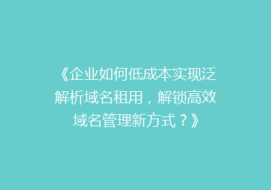 《企业如何低成本实现泛解析域名租用，解锁高效域名管理新方式？》