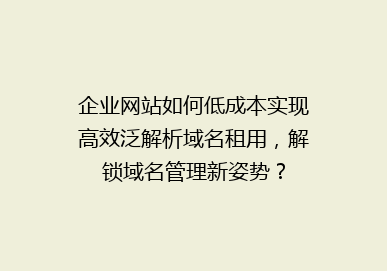 企业网站如何低成本实现高效泛解析域名租用，解锁域名管理新姿势？