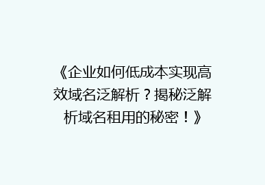 《企业如何低成本实现高效域名泛解析？揭秘泛解析域名租用的秘密！》