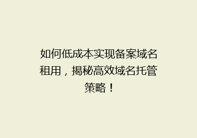 如何低成本实现备案域名租用，揭秘高效域名托管策略！