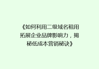 《如何利用二级域名租用拓展企业品牌影响力，揭秘低成本营销秘诀》
