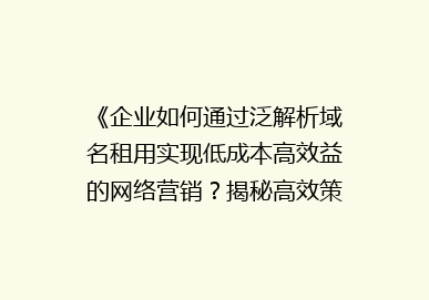 《企业如何通过泛解析域名租用实现低成本高效益的网络营销？揭秘高效策略》