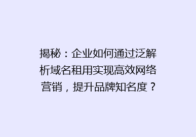 揭秘：企业如何通过泛解析域名租用实现高效网络营销，提升品牌知名度？