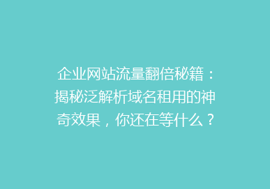 企业网站流量翻倍秘籍：揭秘泛解析域名租用的神奇效果，你还在等什么？