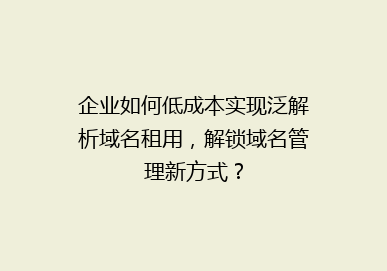 企业如何低成本实现泛解析域名租用，解锁域名管理新方式？