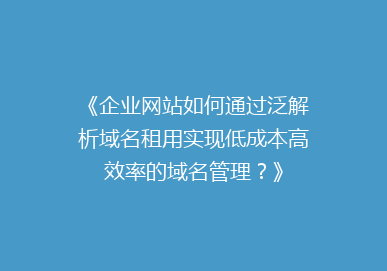 《企业网站如何通过泛解析域名租用实现低成本高效率的域名管理？》