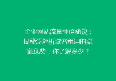 企业网站流量翻倍秘诀：揭秘泛解析域名租用的隐藏优势，你了解多少？