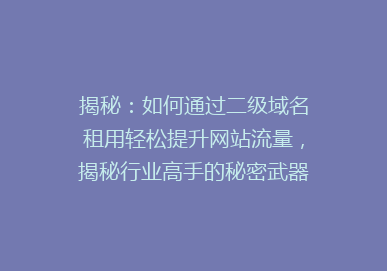 揭秘：如何通过二级域名租用轻松提升网站流量，揭秘行业高手的秘密武器！