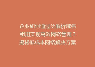 企业如何通过泛解析域名租用实现高效网络管理？揭秘低成本网络解决方案！