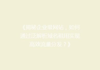 《揭秘企业级网站，如何通过泛解析域名租用实现高效流量分发？》