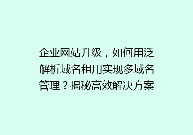 企业网站升级，如何用泛解析域名租用实现多域名管理？揭秘高效解决方案！