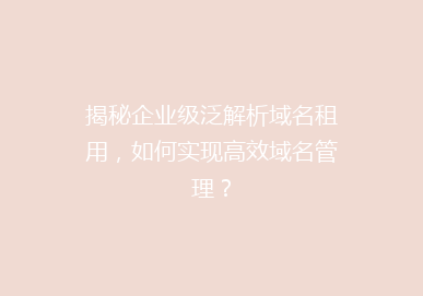 揭秘企业级泛解析域名租用，如何实现高效域名管理？