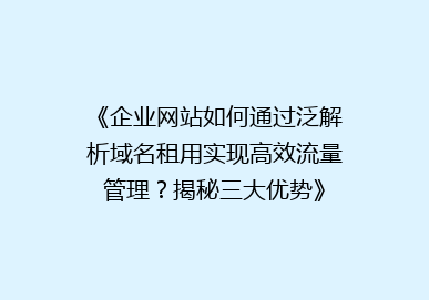 《企业网站如何通过泛解析域名租用实现高效流量管理？揭秘三大优势》
