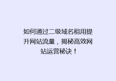 如何通过二级域名租用提升网站流量，揭秘高效网站运营秘诀！
