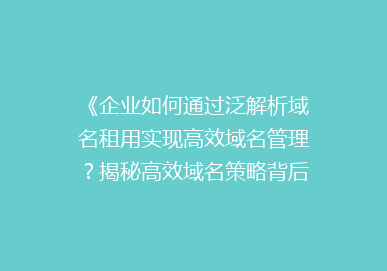 《企业如何通过泛解析域名租用实现高效域名管理？揭秘高效域名策略背后的秘密》