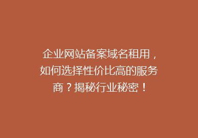 企业网站备案域名租用，如何选择性价比高的服务商？揭秘行业秘密！