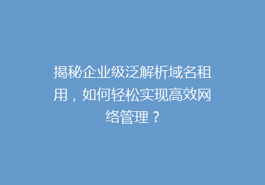 揭秘企业级泛解析域名租用，如何轻松实现高效网络管理？