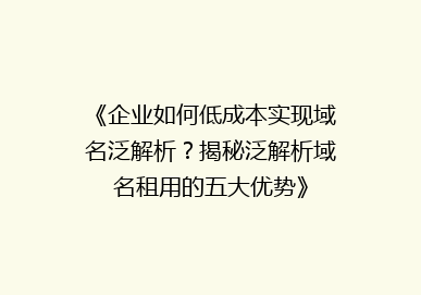 《企业如何低成本实现域名泛解析？揭秘泛解析域名租用的五大优势》