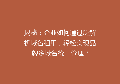 揭秘：企业如何通过泛解析域名租用，轻松实现品牌多域名统一管理？