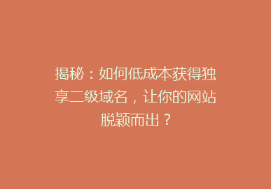 揭秘：如何低成本获得独享二级域名，让你的网站脱颖而出？