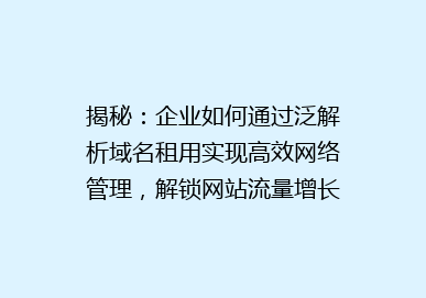 揭秘：企业如何通过泛解析域名租用实现高效网络管理，解锁网站流量增长密码！