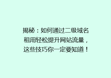 揭秘：如何通过二级域名租用轻松提升网站流量，这些技巧你一定要知道！